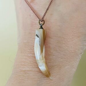 Natural Animal Tooth Claw/ Horn Pendant Necklace with Boho Rustic Gold Chain
